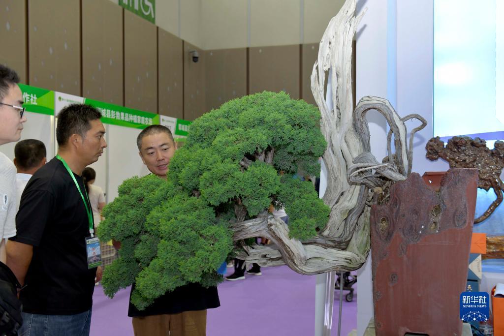 云顶优惠大厅申请